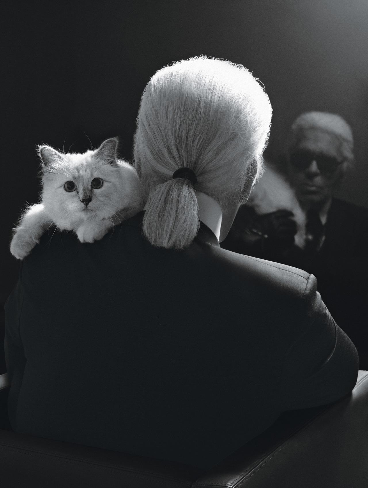 Карл Лагерфельд (Karl Lagerfeld) со своей кошкой